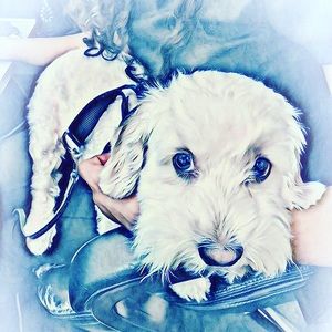 Meet your Posher, Randall